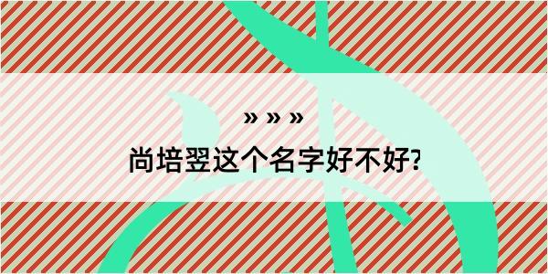 尚培翌这个名字好不好?