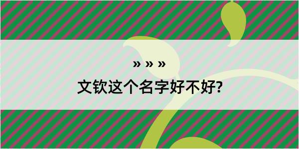 文钦这个名字好不好?