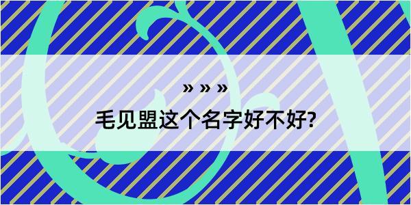 毛见盟这个名字好不好?