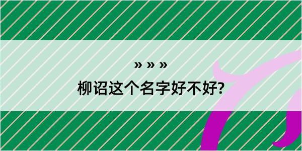 柳诏这个名字好不好?