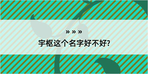 宇枢这个名字好不好?