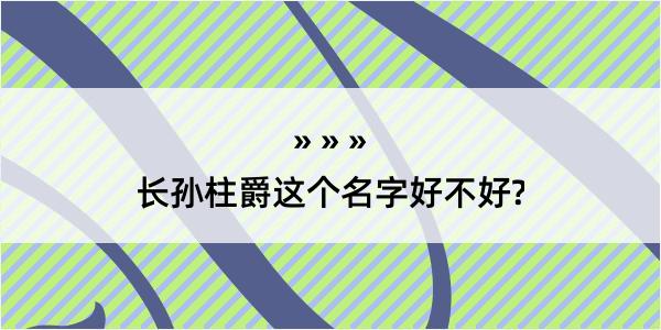 长孙柱爵这个名字好不好?