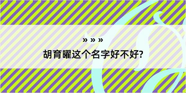 胡育曜这个名字好不好?