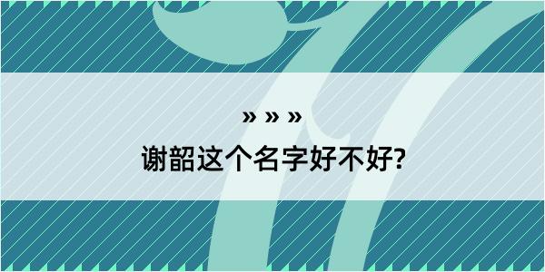 谢韶这个名字好不好?