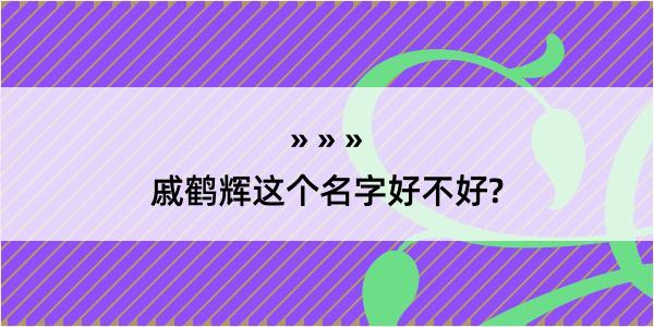 戚鹤辉这个名字好不好?