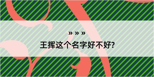 王挥这个名字好不好?