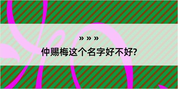 仲赐梅这个名字好不好?