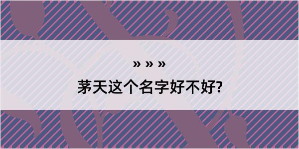 茅天这个名字好不好?