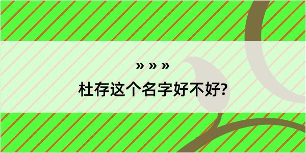 杜存这个名字好不好?