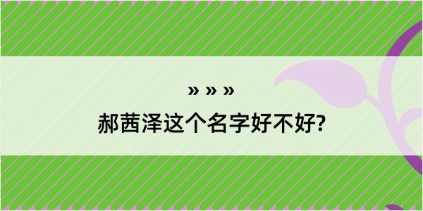 郝茜泽这个名字好不好?