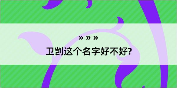 卫剀这个名字好不好?