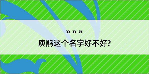 庾鹃这个名字好不好?