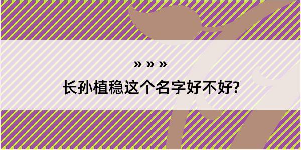 长孙植稳这个名字好不好?