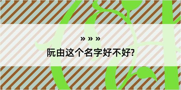 阮由这个名字好不好?