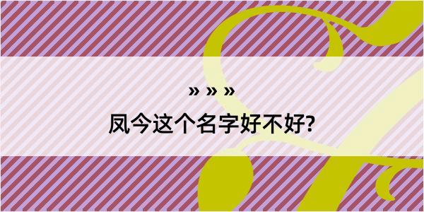 凤今这个名字好不好?