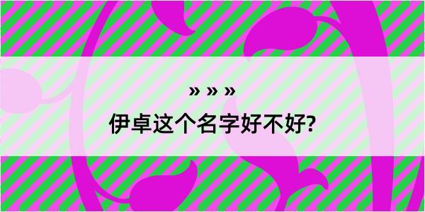 伊卓这个名字好不好?