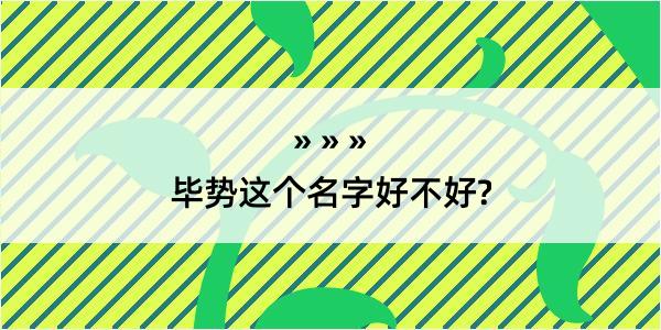 毕势这个名字好不好?