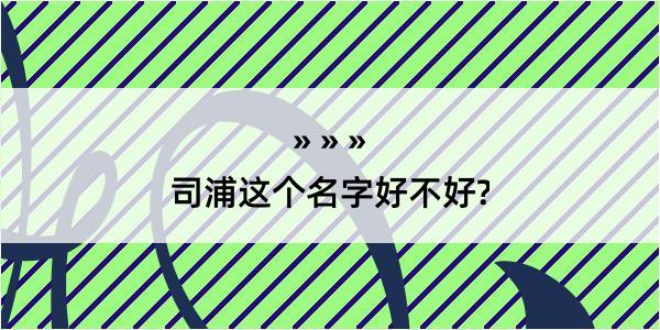 司浦这个名字好不好?