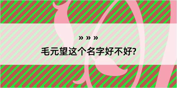 毛元望这个名字好不好?