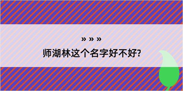 师湖林这个名字好不好?