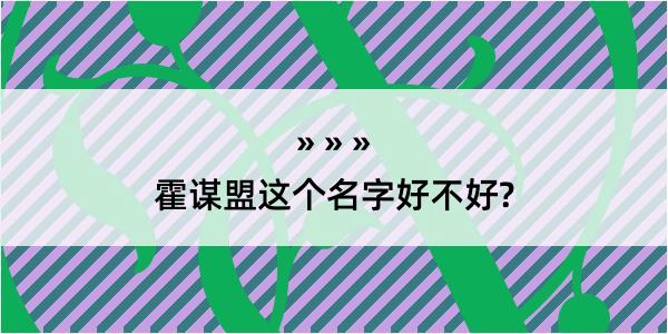 霍谋盟这个名字好不好?