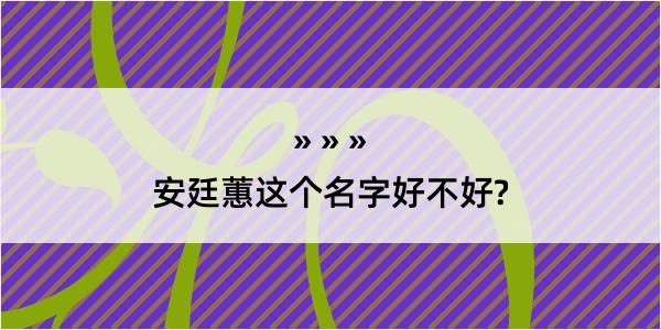 安廷蕙这个名字好不好?