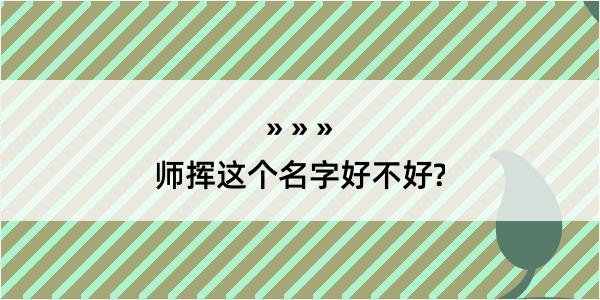 师挥这个名字好不好?