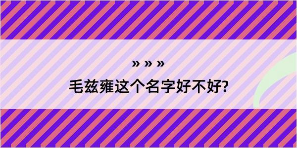 毛兹雍这个名字好不好?