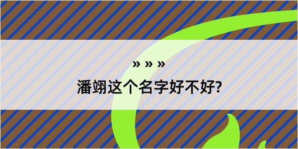 潘翊这个名字好不好?