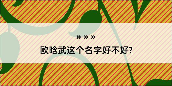 欧晗武这个名字好不好?