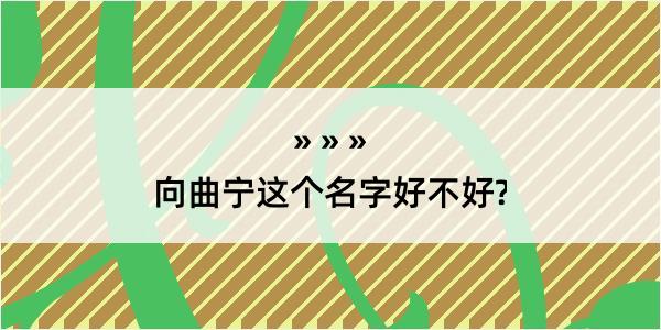 向曲宁这个名字好不好?