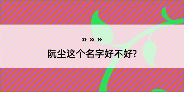 阮尘这个名字好不好?