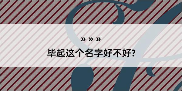 毕起这个名字好不好?