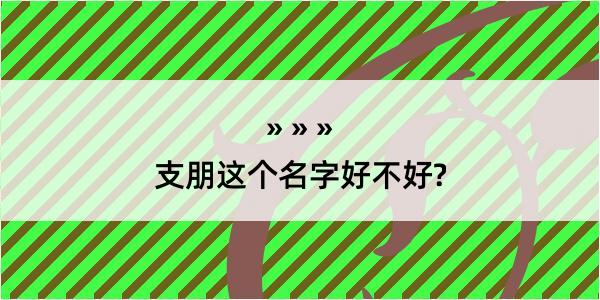 支朋这个名字好不好?