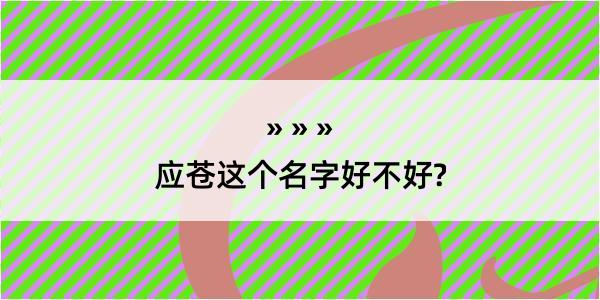 应苍这个名字好不好?