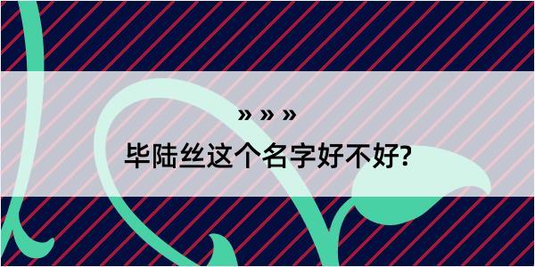 毕陆丝这个名字好不好?