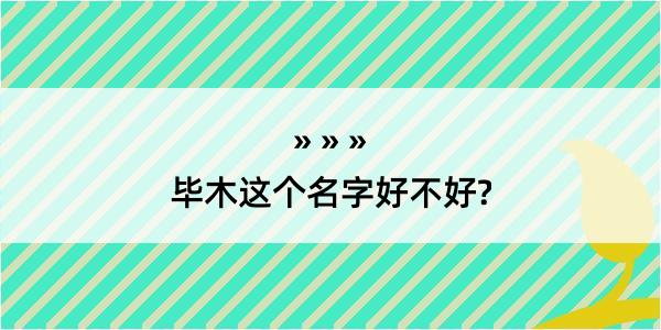 毕木这个名字好不好?