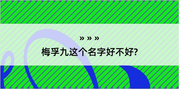 梅孚九这个名字好不好?