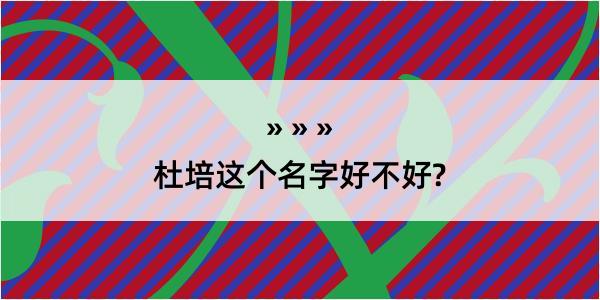 杜培这个名字好不好?