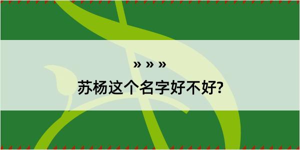 苏杨这个名字好不好?