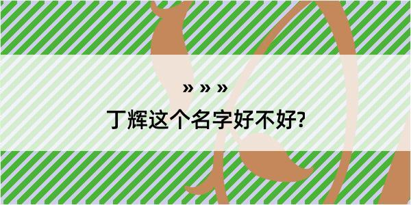 丁辉这个名字好不好?