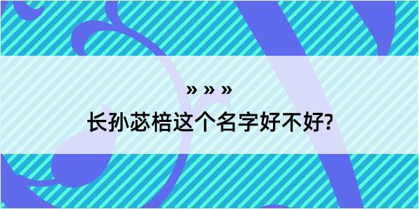 长孙苾棓这个名字好不好?