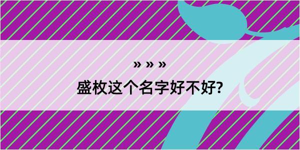 盛枚这个名字好不好?