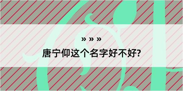 唐宁仰这个名字好不好?