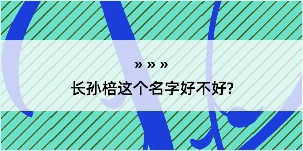 长孙棓这个名字好不好?