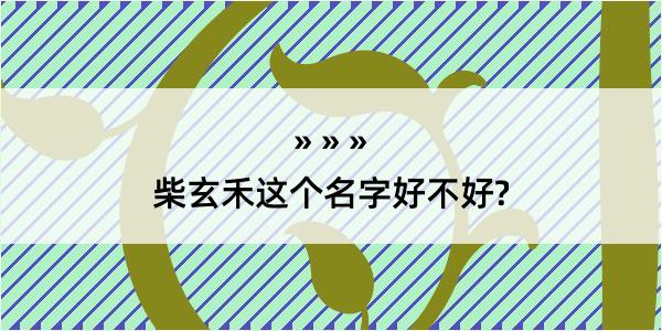 柴玄禾这个名字好不好?