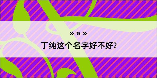 丁纯这个名字好不好?