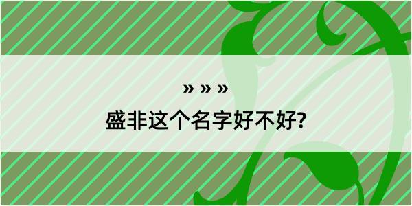 盛非这个名字好不好?