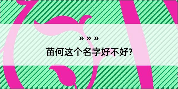 苗何这个名字好不好?