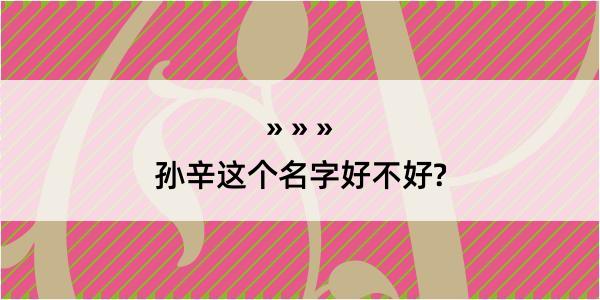 孙辛这个名字好不好?